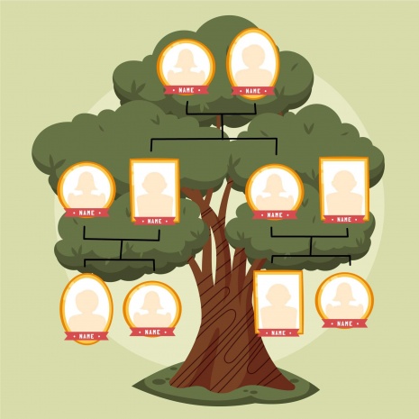 Genealogia: entenda qual o papel desse setor na Nostrali